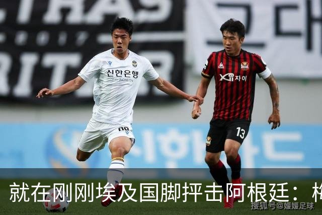 就在刚刚埃及国脚抨击阿根廷：梅西只是平常球员并非球王，他默认了不公正判罚