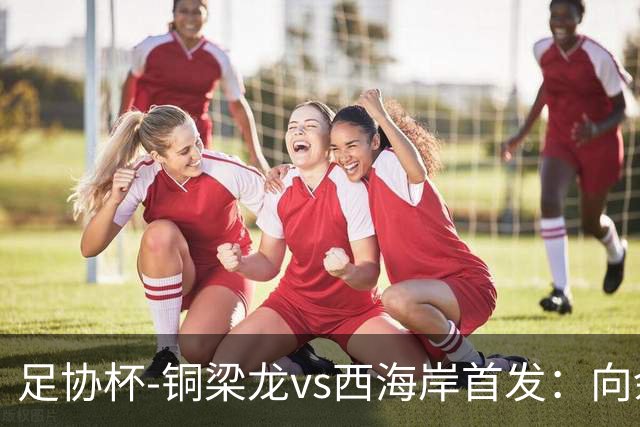 足协杯-铜梁龙vs西海岸首发：向余望、杜月徵、李昊、张修维出战