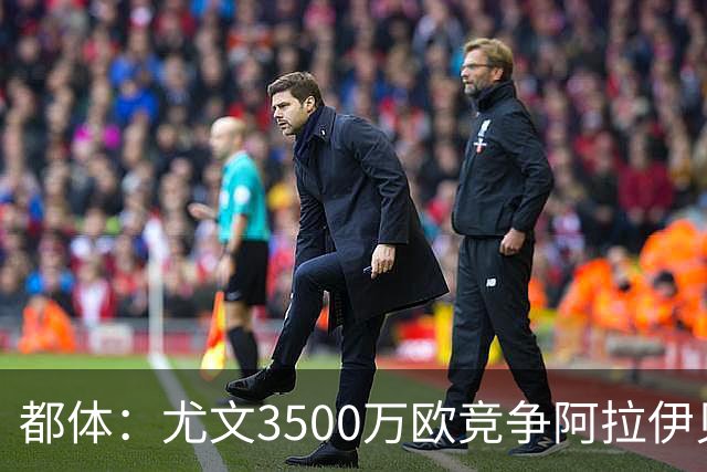 都体：尤文3500万欧竞争阿拉伊贝戈维奇，目前切尔西依然占优